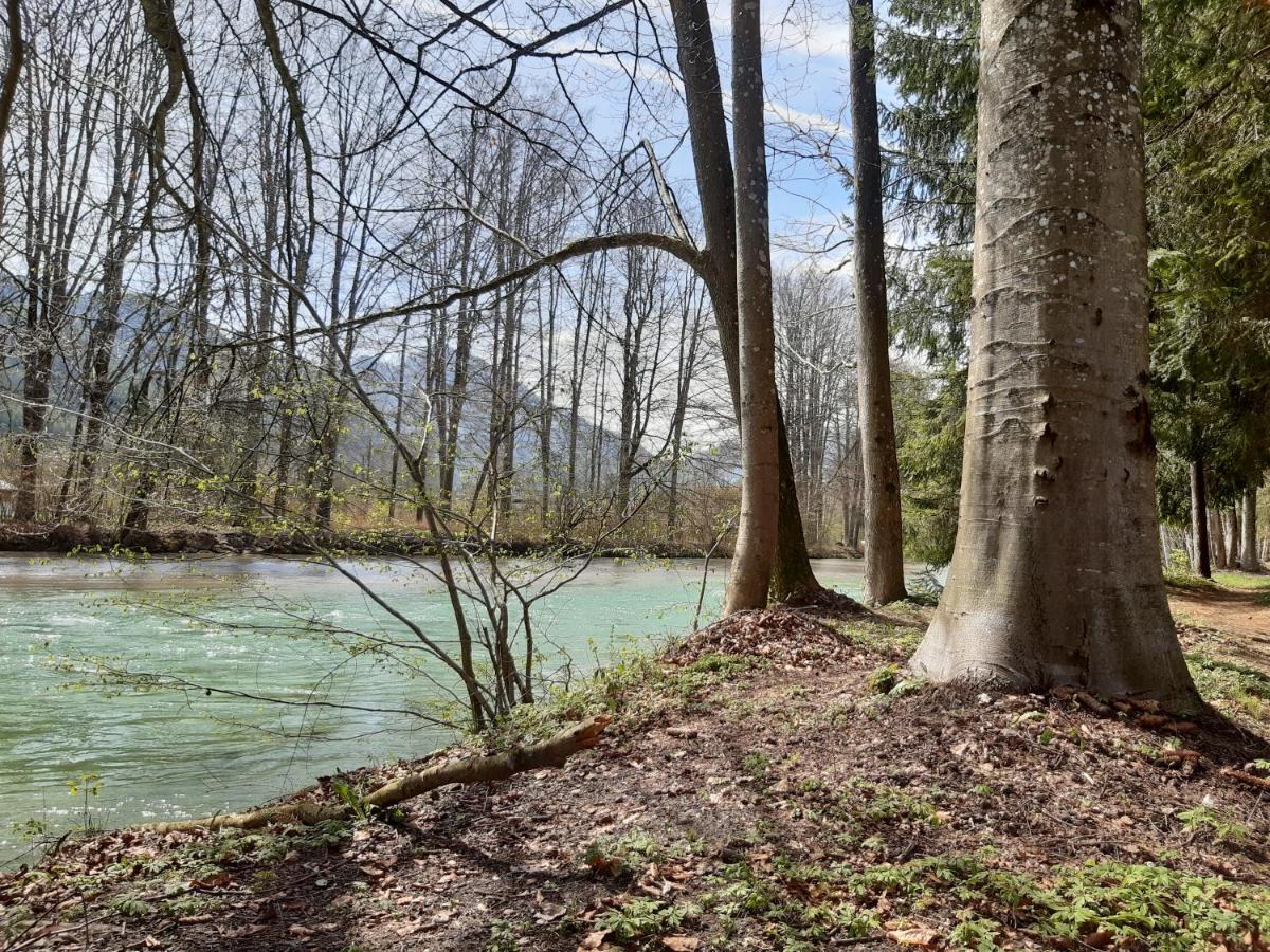 Campingfass Almtal Scharnstein Esterno foto