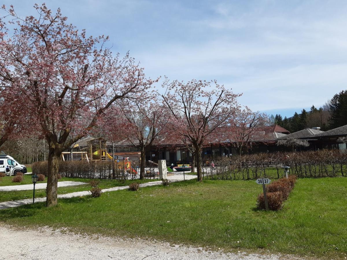 Campingfass Almtal Scharnstein Esterno foto