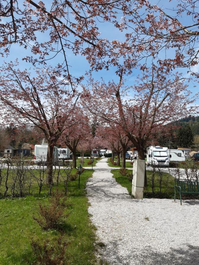 Campingfass Almtal Scharnstein Esterno foto